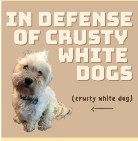 In Defense Of Crusty White Dogs The Catamount