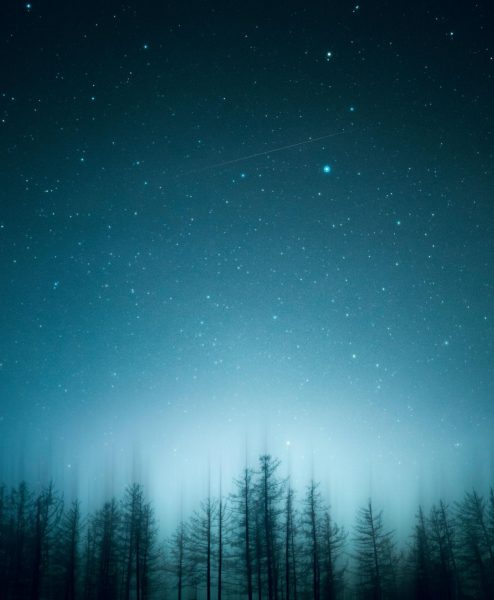 Image Credit: naraa .in.ub on Unsplash (https://unsplash.com/photos/green-pine-trees-under-blue-sky-during-night-time-Qf-5KCZduV0)