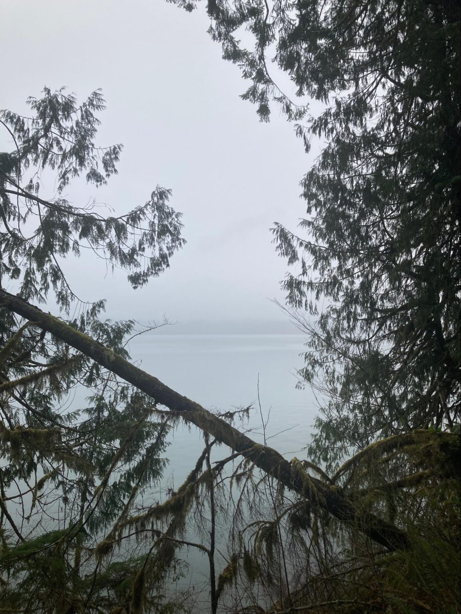 Lake Quinault, Washington, by Wendy Brannon