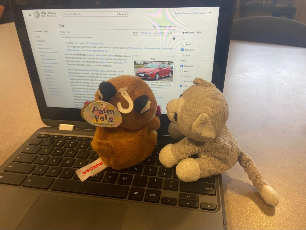 Cat and Fox Talk About Your Car’s Extended Warranty
