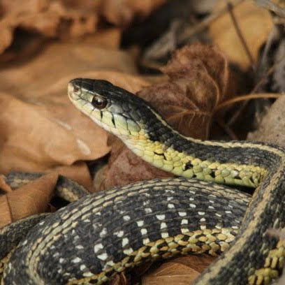 Teacher Stories: Spooky Edition