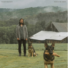 Noah Kahan Website
